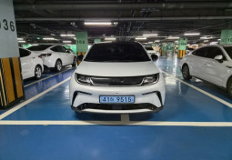 돌핀 EV 41하9515 BYD장기렌터카, 신용불량자중고차, BYD장기렌트
